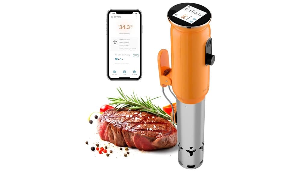 INKBIRD ISV-101W Sous Vide Cooker WiFi Review