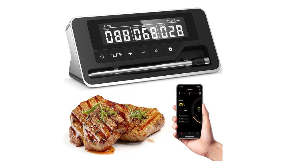 Pakinui R1 Wireless Meat Thermometer Review