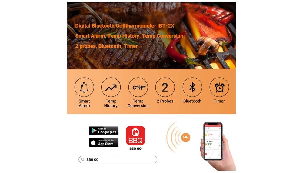 Inkbird Bluetooth Thermometer Test: IBT-2X Grillthermometer